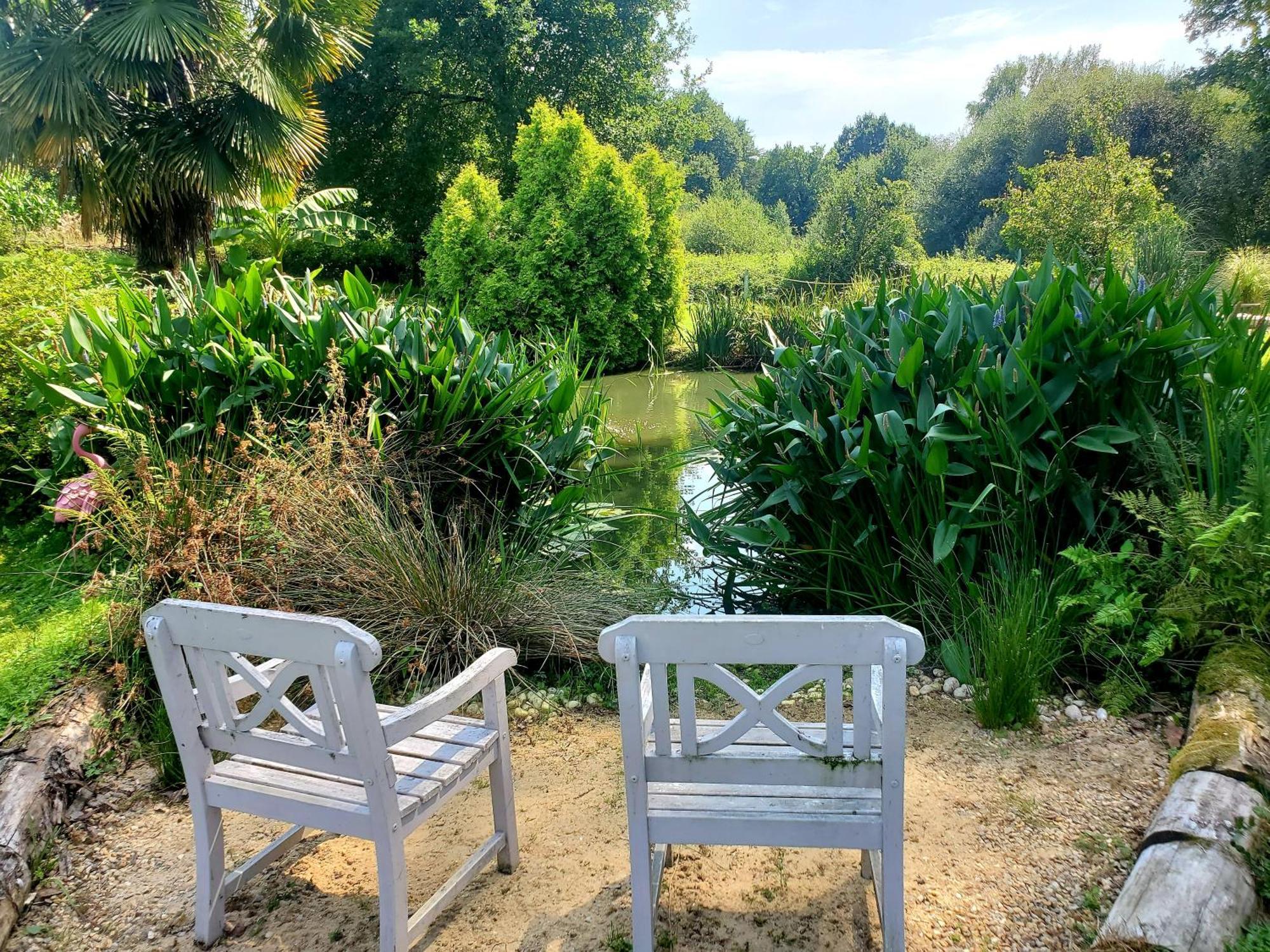 Le Vieux Moulin Gites - Detached Cottage With Garden Views And Pool Guégon Eksteriør billede